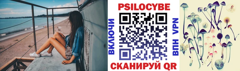 Галлюциногенные грибы Psilocybine cubensis  Славгород 