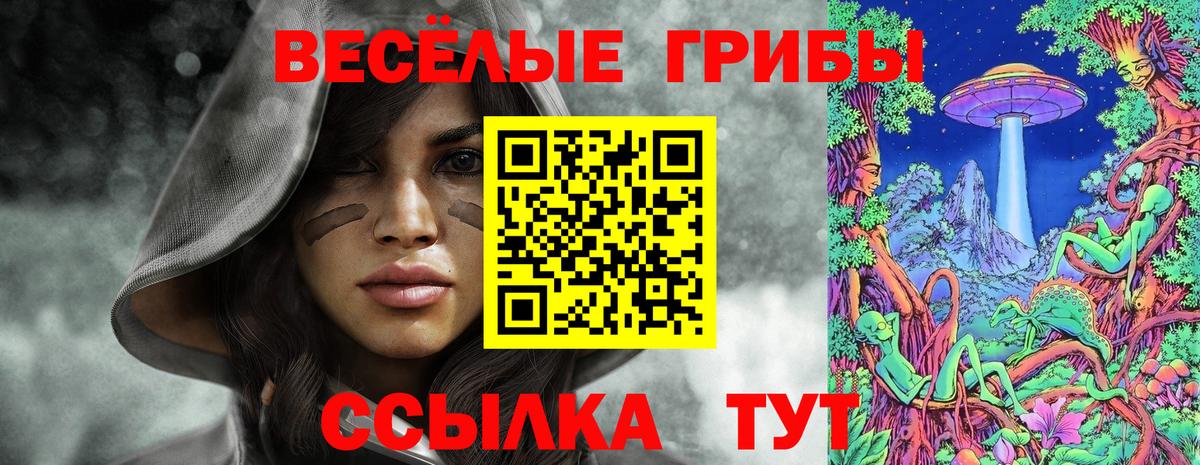 Галлюциногенные грибы ЛСД Славгород