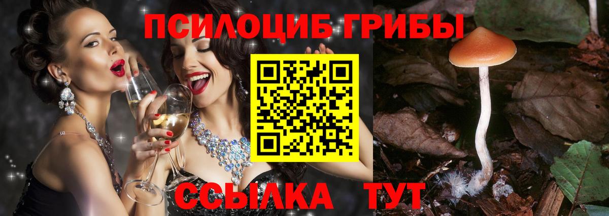 Псилоцибиновые грибы Psilocybe  Вход с VPN  Галлюциногенные грибы Psilocybine cubensis  Славгород 